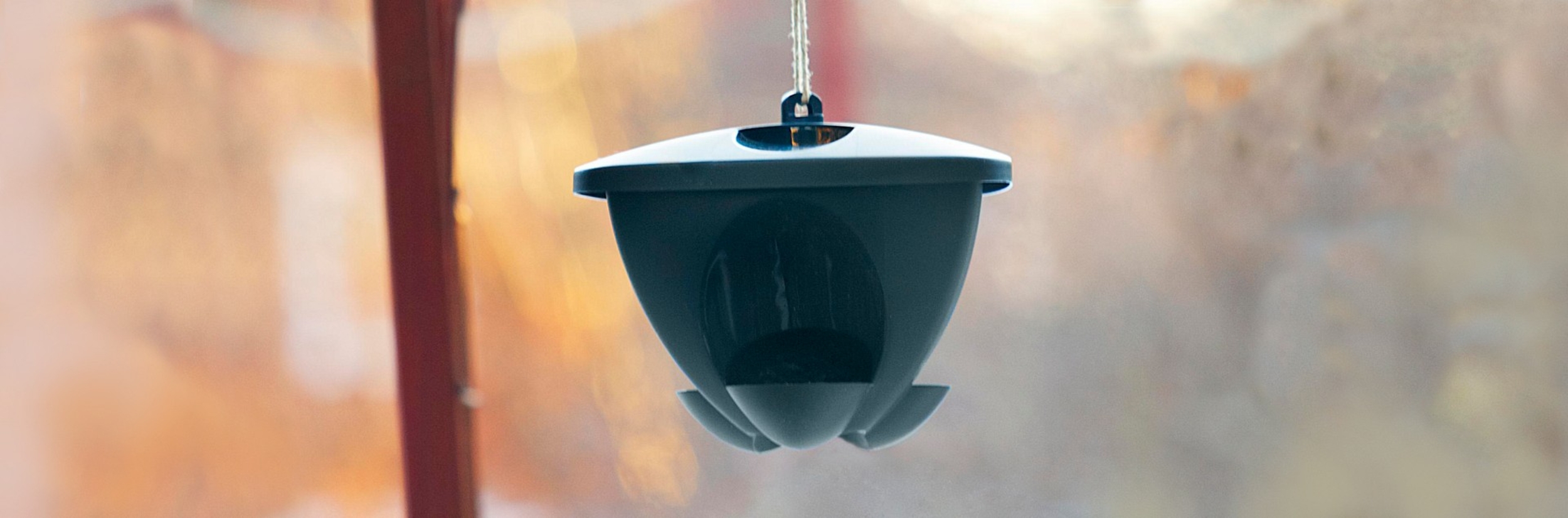 Mangeoires à oiseaux