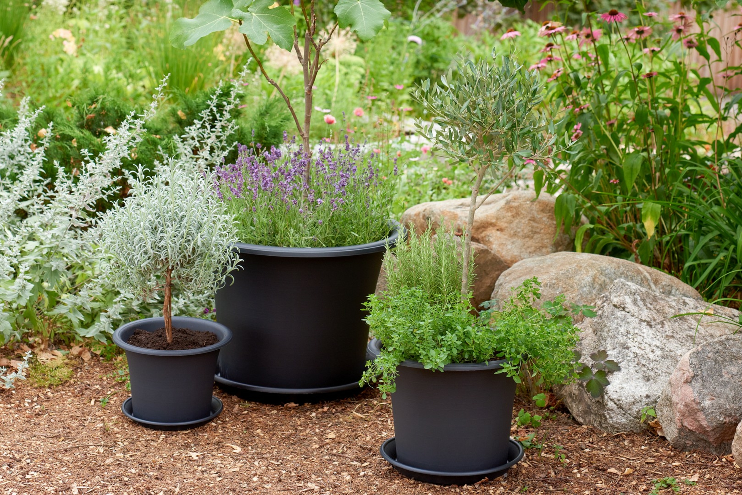 Pots de fleurs