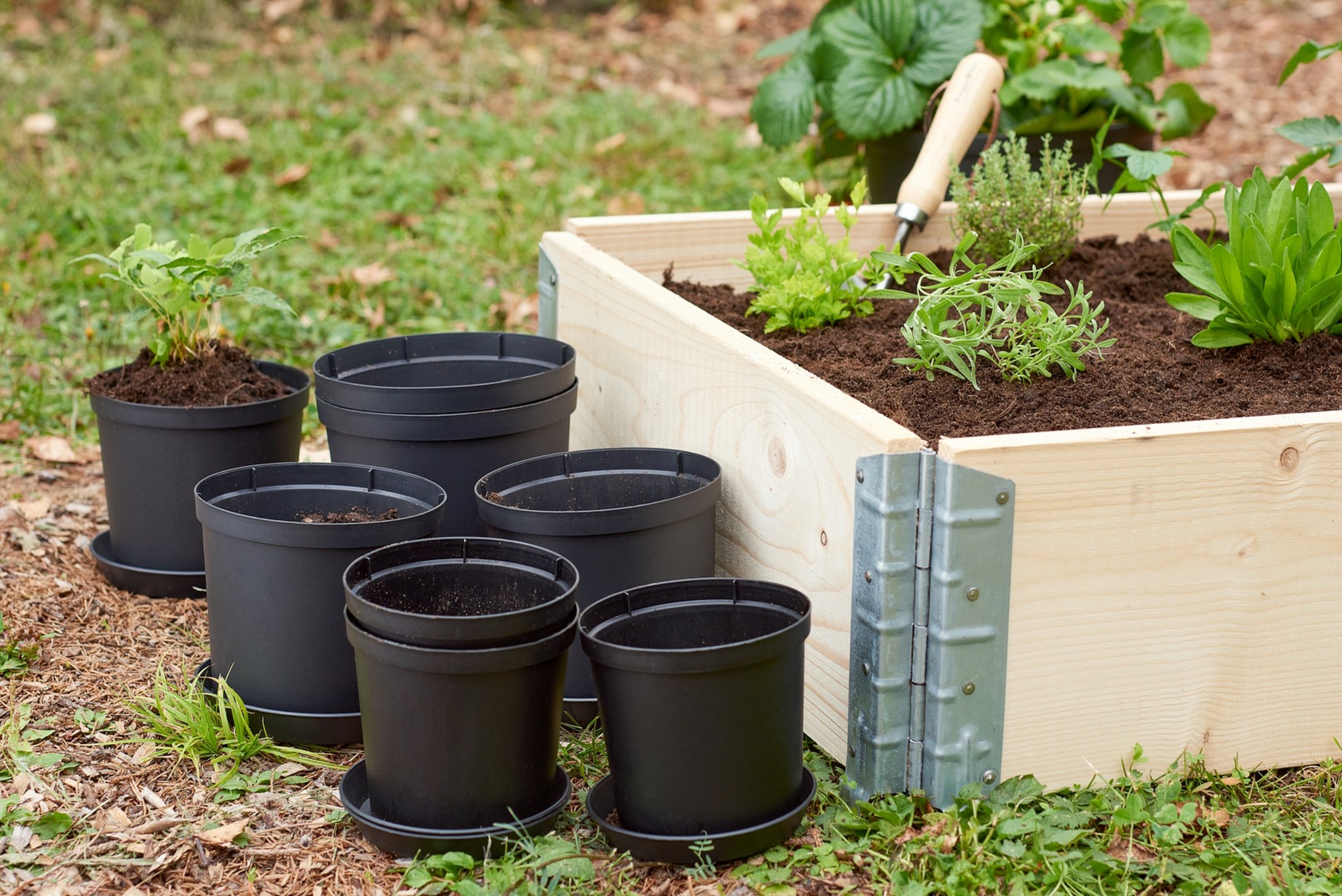Pots standards