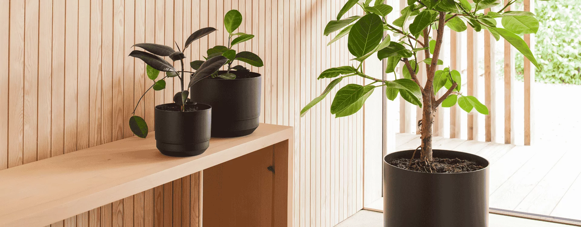 Self-watering